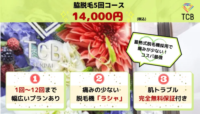 TCB東京美容外科脇比較
