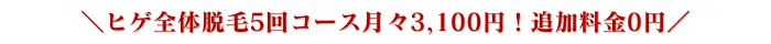 メンズリゼ比較おすすめポイント