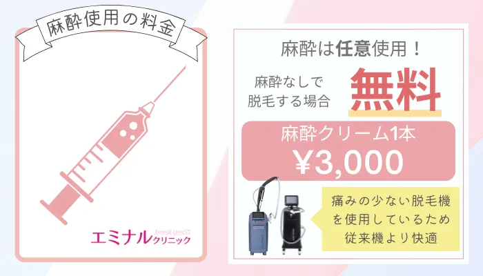エミナルクリニック麻酔代