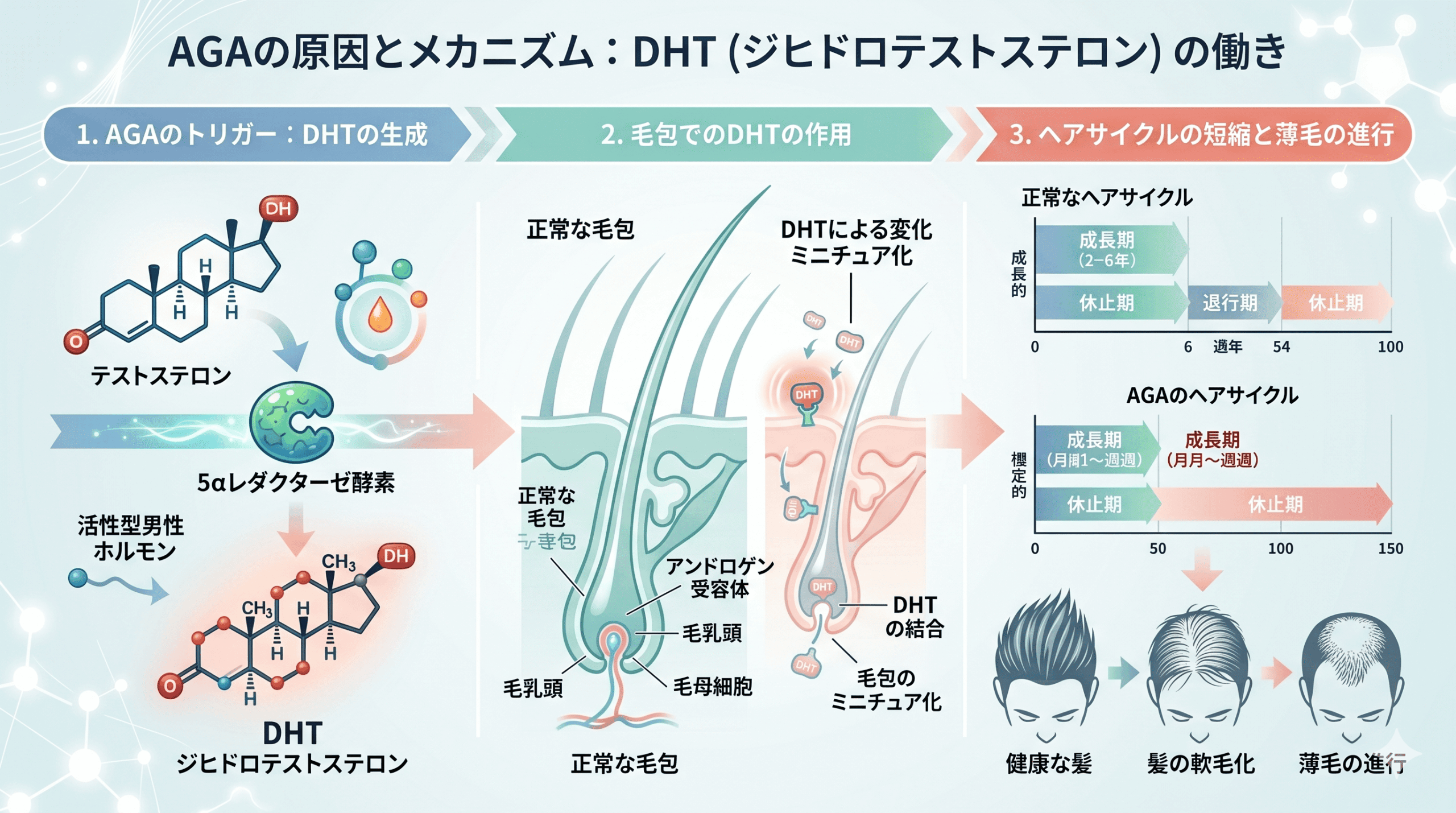 そもそもAGA(男性型脱毛症)とは?あなたの症状を知ることが大切です